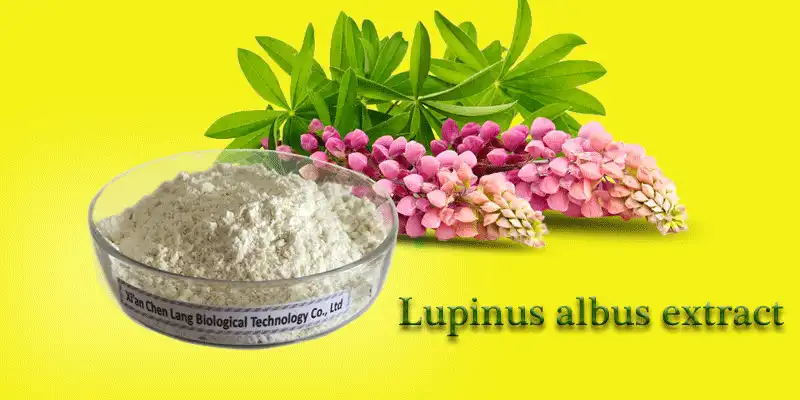 Lupinus-Albus-Extract-s.gif