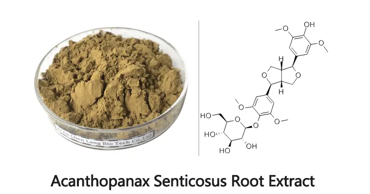 Acanthopanax-Senticosus-Root-Extr.gif