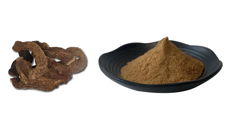 Cistanche-Deserticola-powder.gif