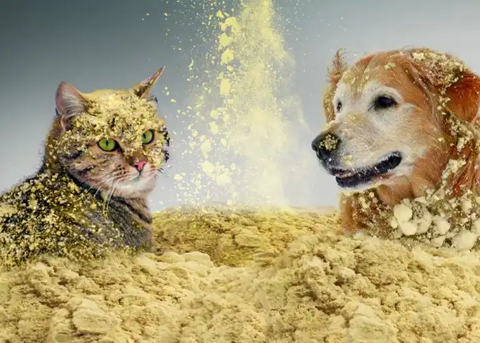 nitenpyram-powder-supplier-manufacturer nitenpyram-powder-supplier-manufacturer