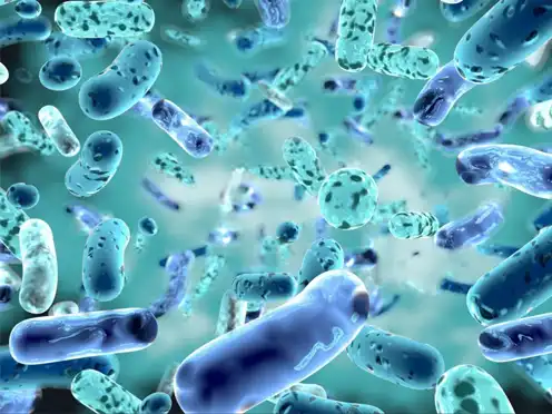 Probiotics-Powder-for-sale Probiotics-Powder-for-sale