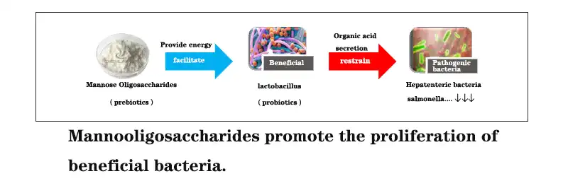 product-1-1 product-1-1