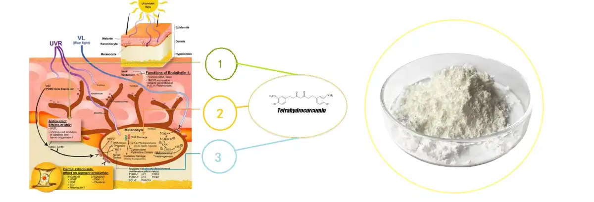 product-1-1 product-1-1