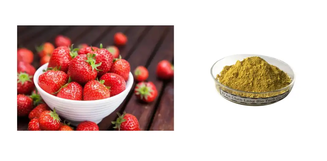 fisetin-powder-for-sale fisetin-powder-for-sale