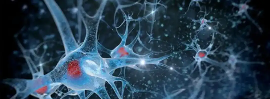 product-1-1 product-1-1