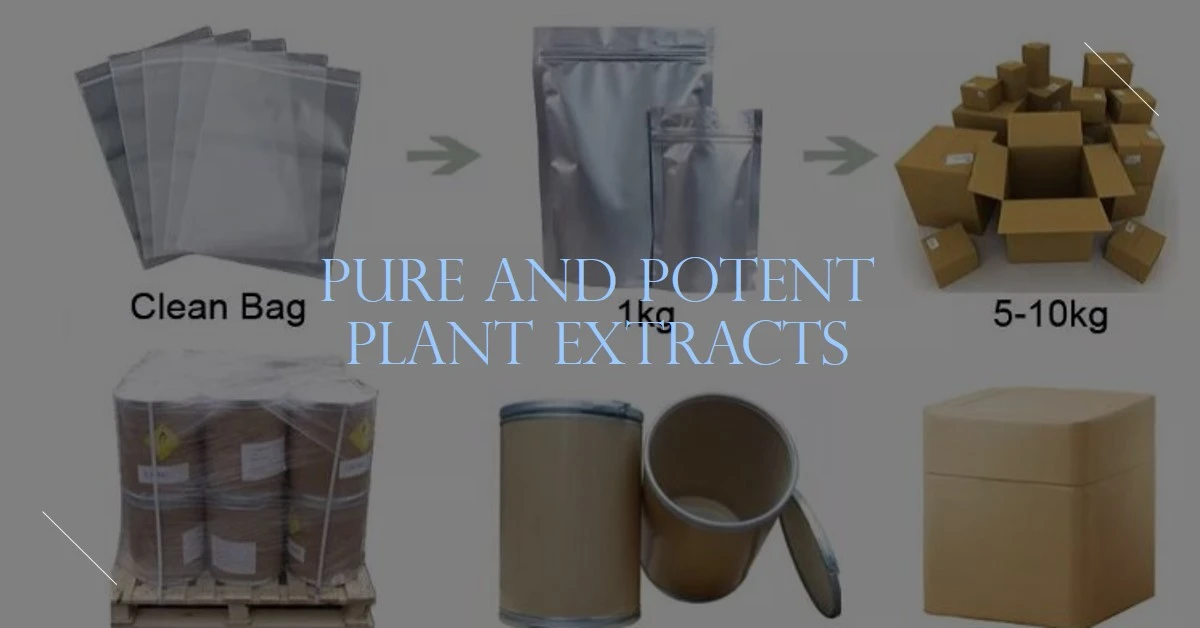 product-1-1 product-1-1