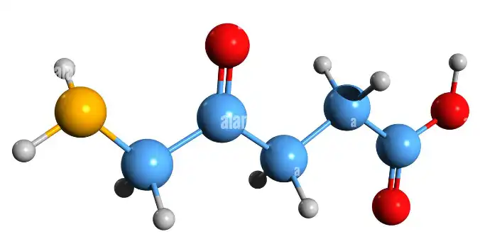 5-Aminolevulinic-Acid-structure 5-Aminolevulinic-Acid-structure