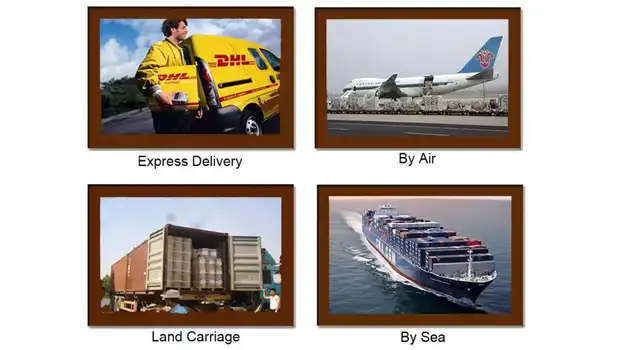 Best-Squalane-shipping Best-Squalane-shipping