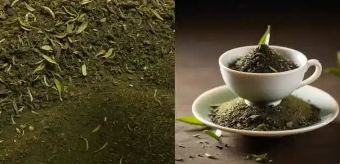 green-tea-extract-supplier green-tea-extract-supplier