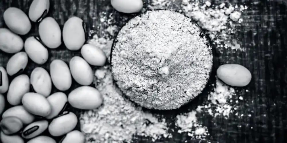 levodopa-powder-98% levodopa-powder-98%