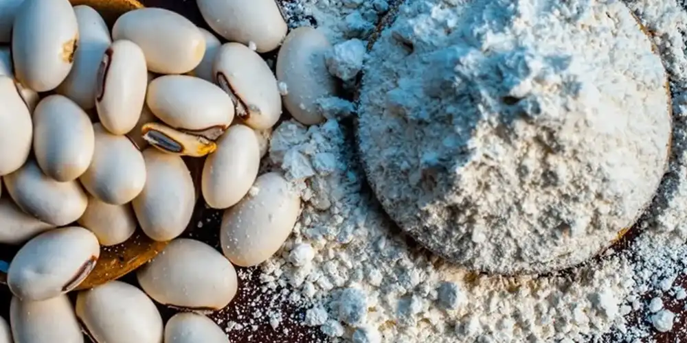 Levodopa-Powder-supplier