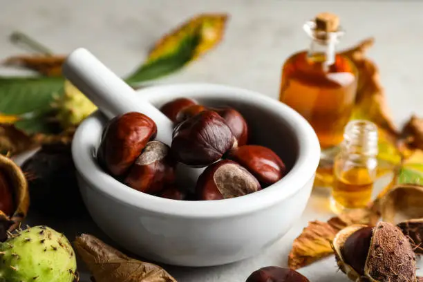 horse-chestnut-extract