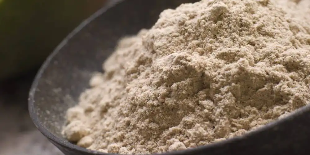 Mangiferin-powder-supplier
