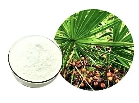 saw-palmetto-extract-powder-supplier