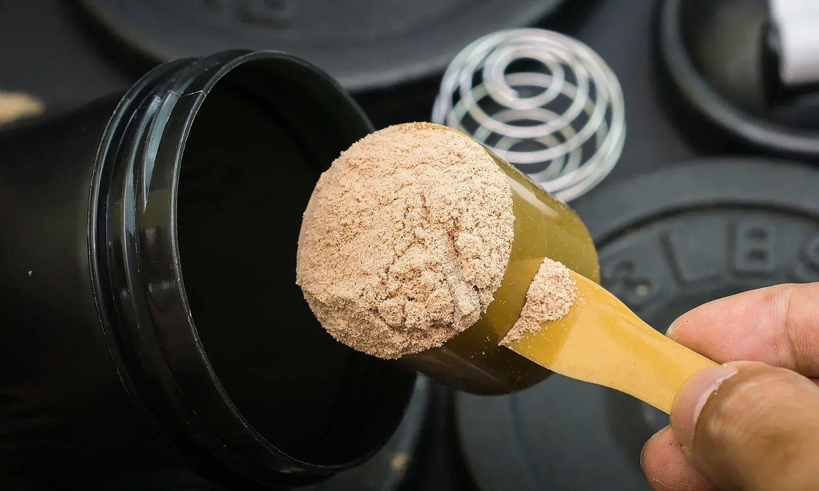 5-Alpha-Hydroxy-Laxogenin-Supports-Muscle-Growth 5-Alpha-Hydroxy-Laxogenin-Supports-Muscle-Growth