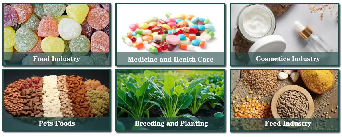 Salmon-collagen- peptide-applications Salmon-collagen- peptide-applications