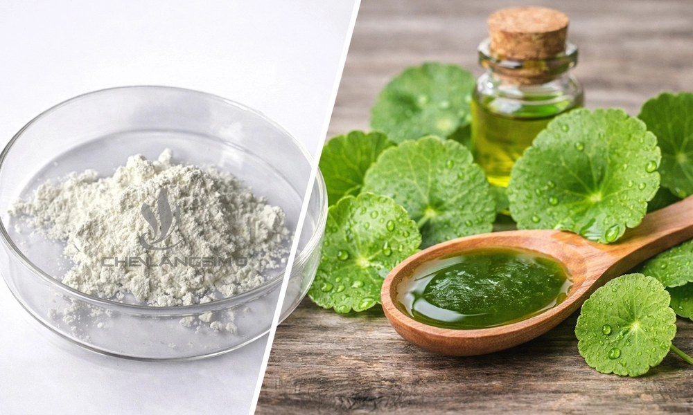 Madecassoside-Centella-Asiatica-Extract-Powder
