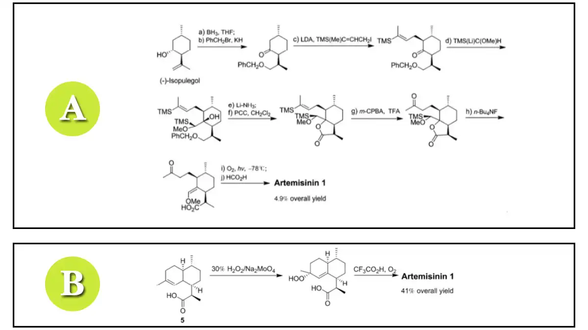 product-1-1 product-1-1