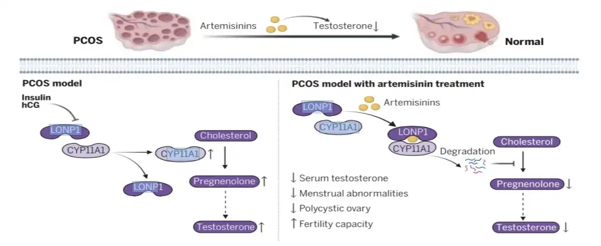 product-1-1 product-1-1