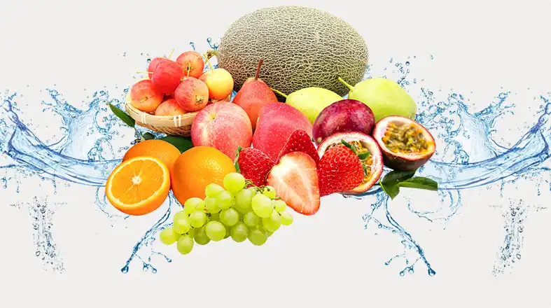 plant-extract-Powder-manufacturer plant-extract-Powder-manufacturer