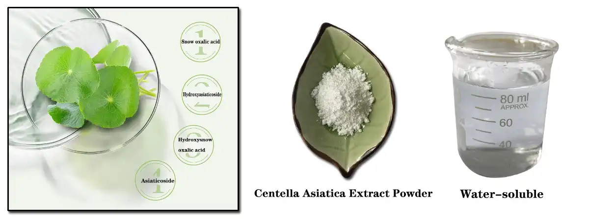 product-1-1 product-1-1