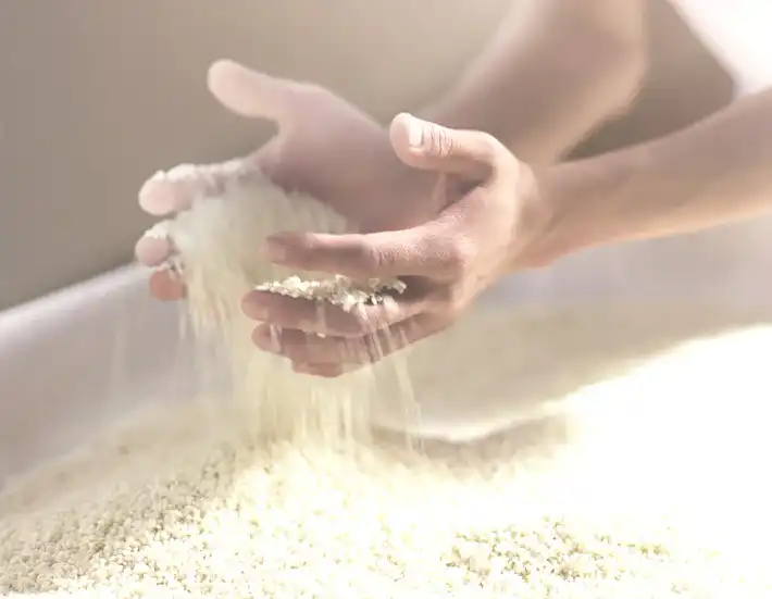 Saccharomyces- Ferment-Lysate-supplier Saccharomyces- Ferment-Lysate-supplier