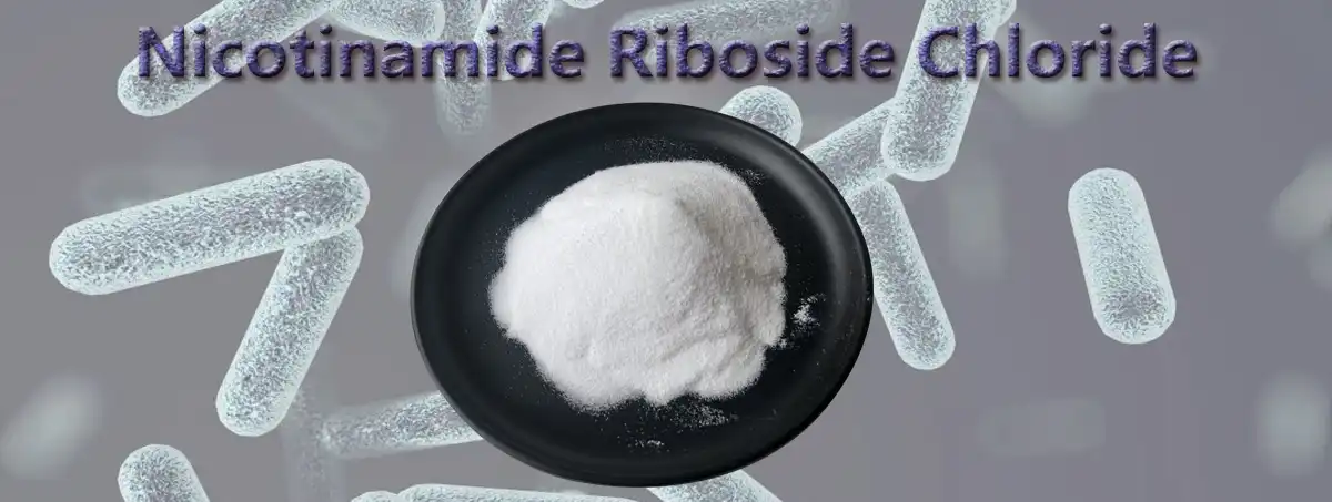 product-1-1 product-1-1