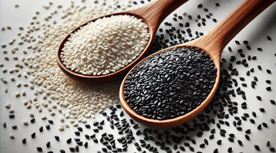 Sesamin-Powder-supplier Sesamin-Powder-supplier