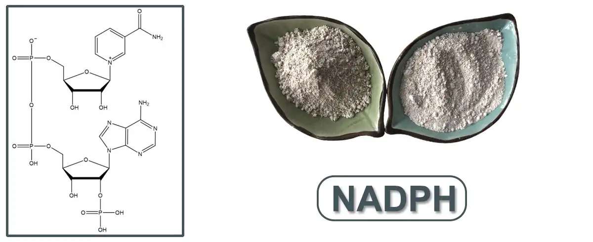 product-1-1 product-1-1