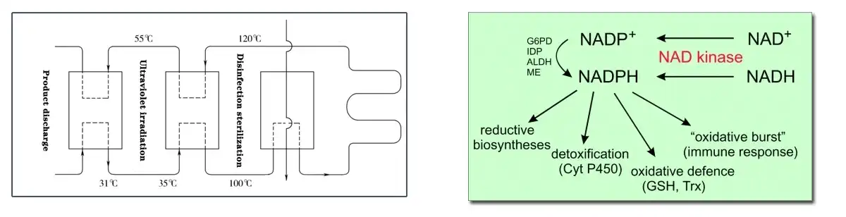 product-1-1 product-1-1