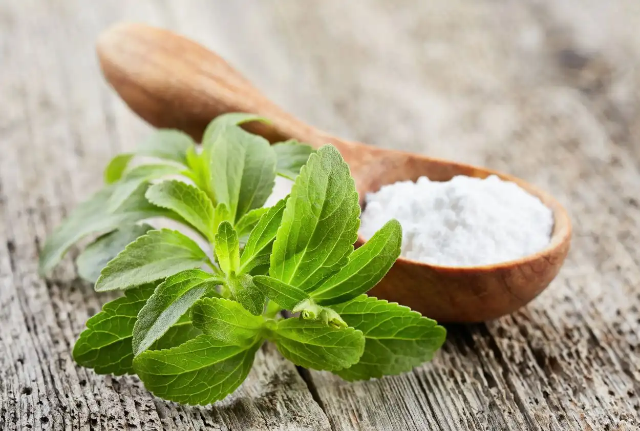 Stevia-Extract-Powder-Specification Stevia-Extract-Powder-Specification