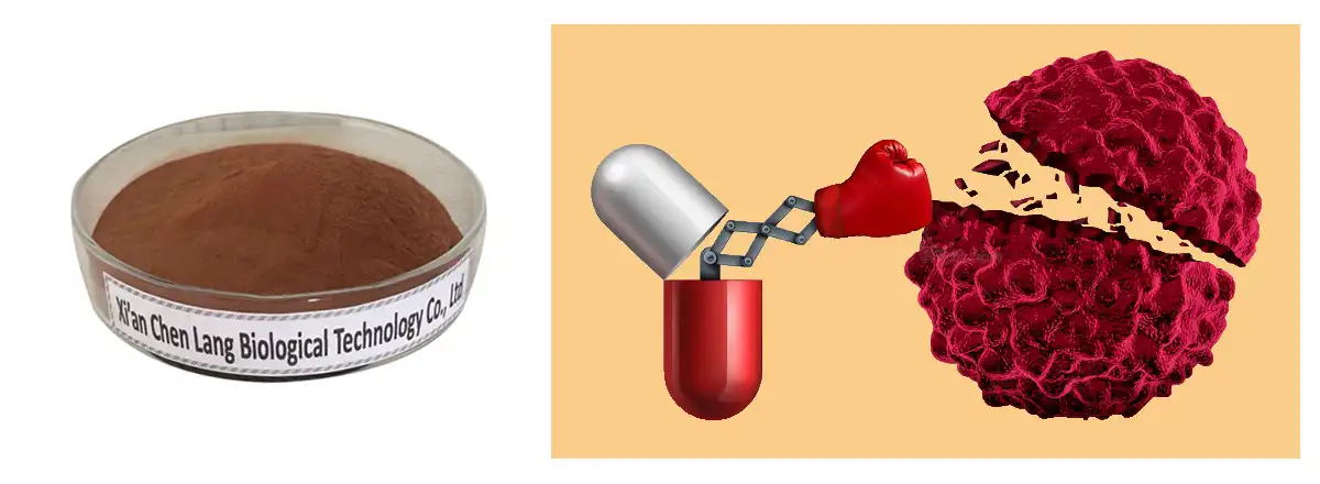 product-1-1 product-1-1