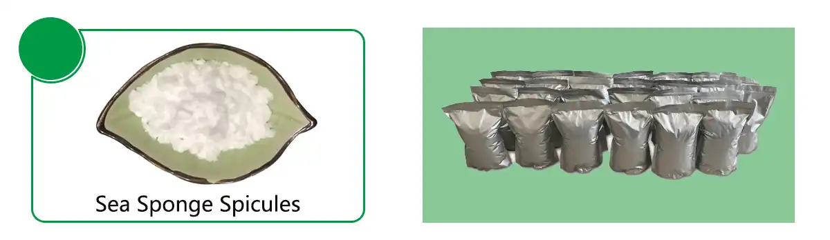 product-1-1 product-1-1