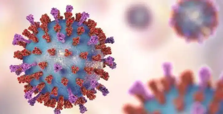 product-1-1 product-1-1