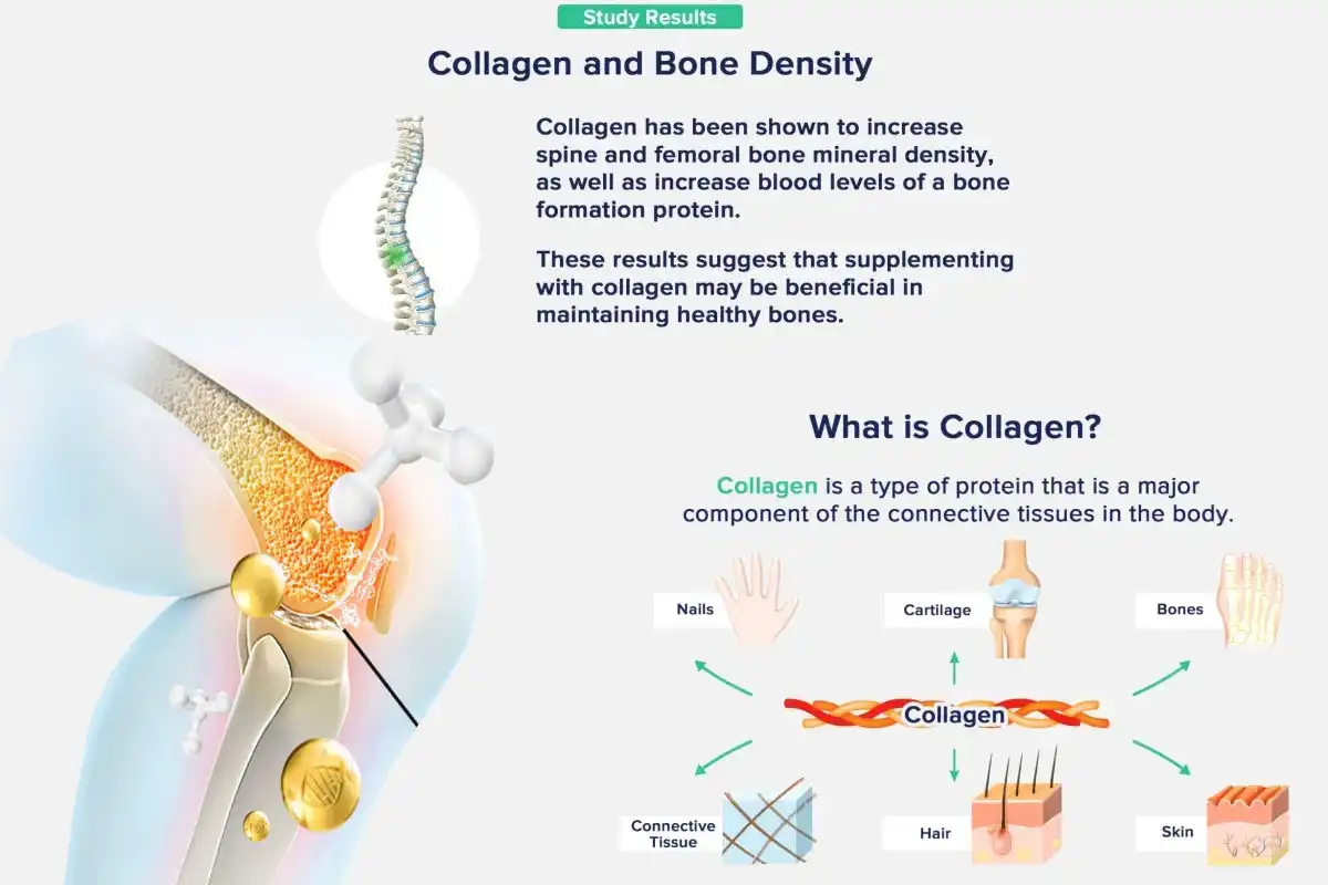product-1-1 product-1-1
