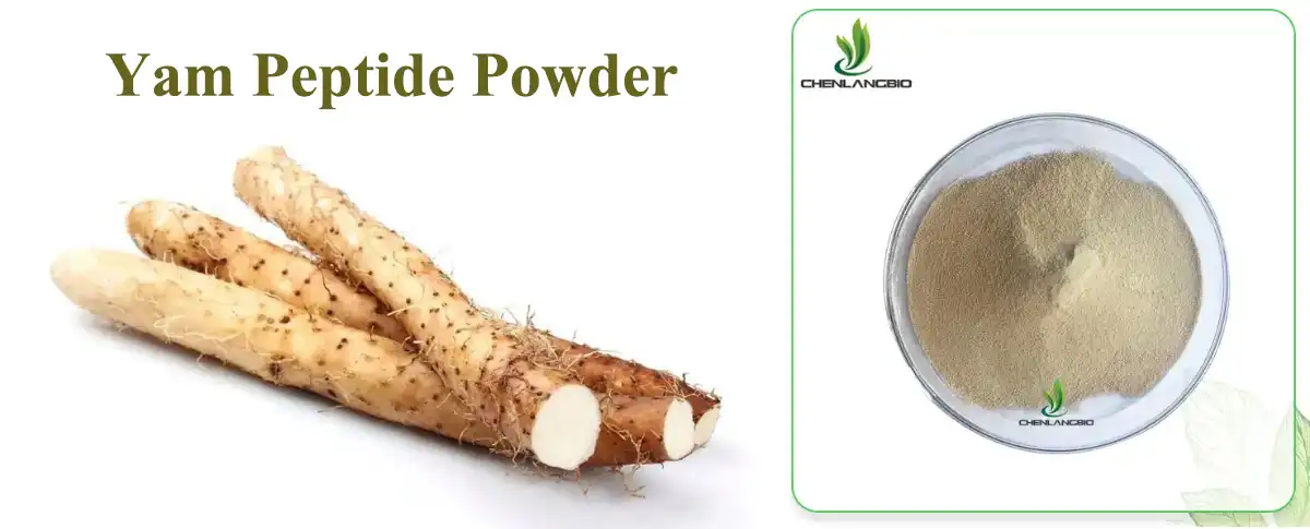 product-1-1 product-1-1