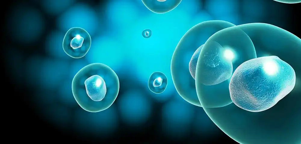 product-1-1 product-1-1