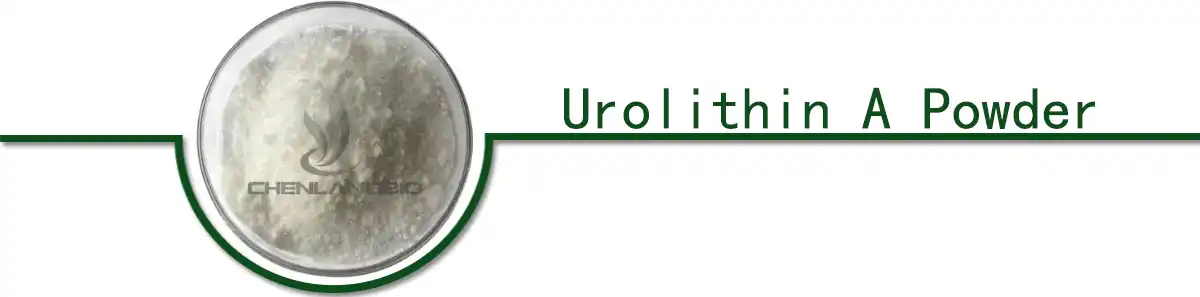 product-1-1