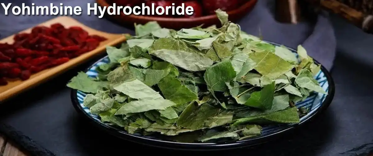 product-1-1 product-1-1