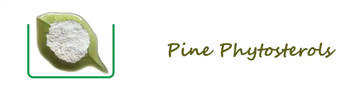 product-1-1 product-1-1