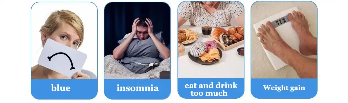 product-1-1 product-1-1