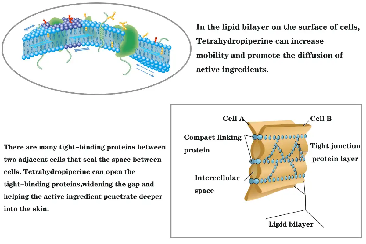 product-1-1 product-1-1