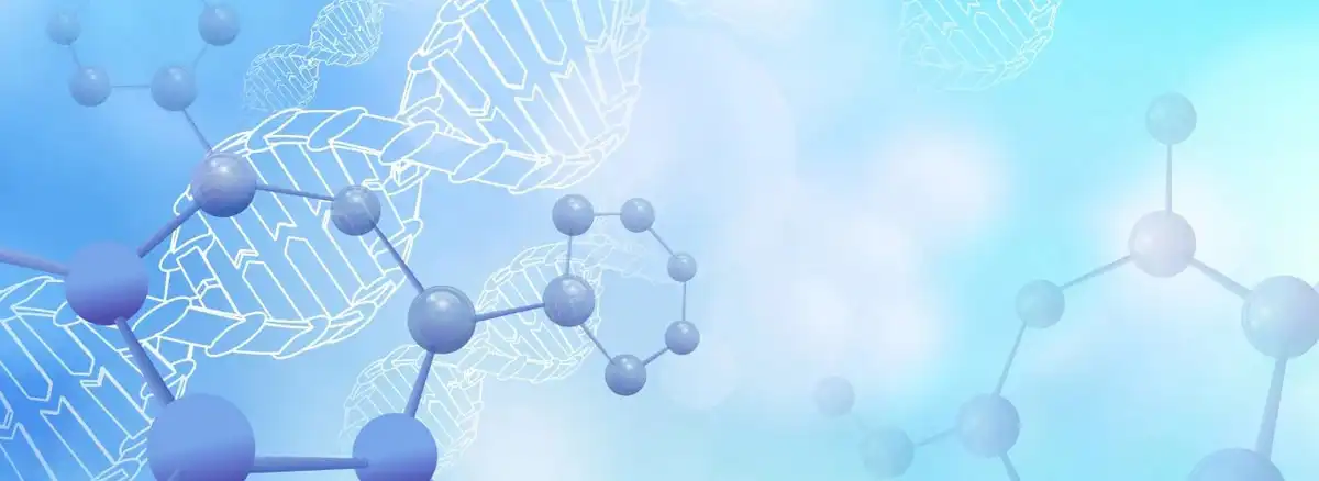 product-1-1 product-1-1