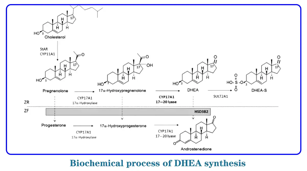 product-1-1 product-1-1