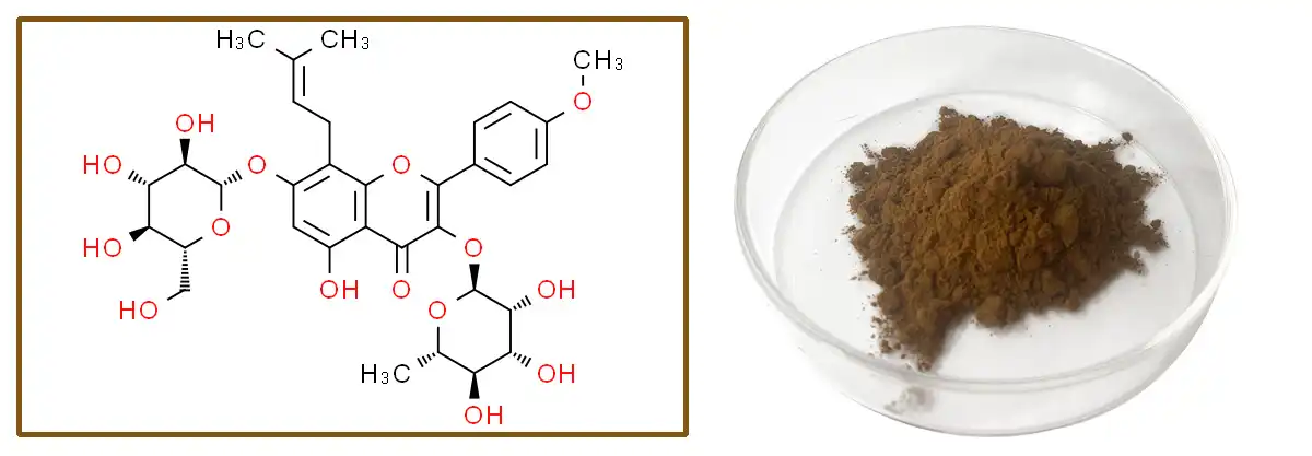 product-1-1 product-1-1