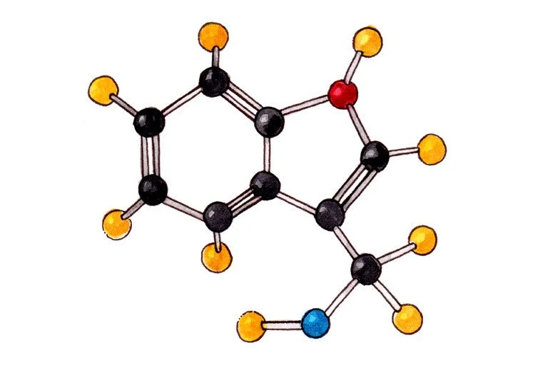 Indole-3-Carbinol-supplier