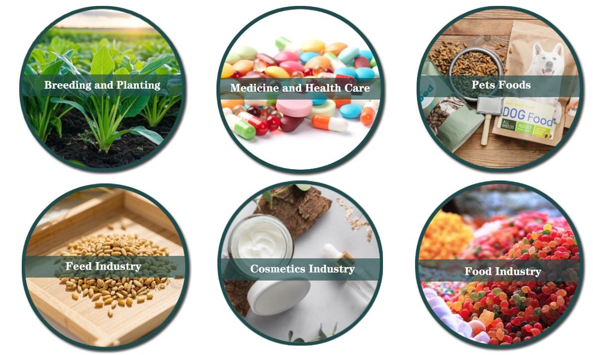 Zeaxanthin-Powder-Applications