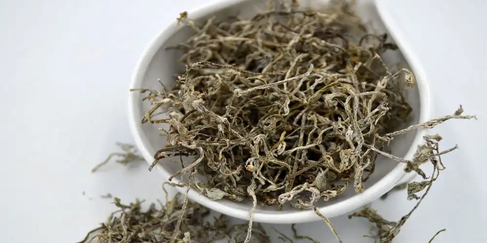 Myricetin-powder-supplier