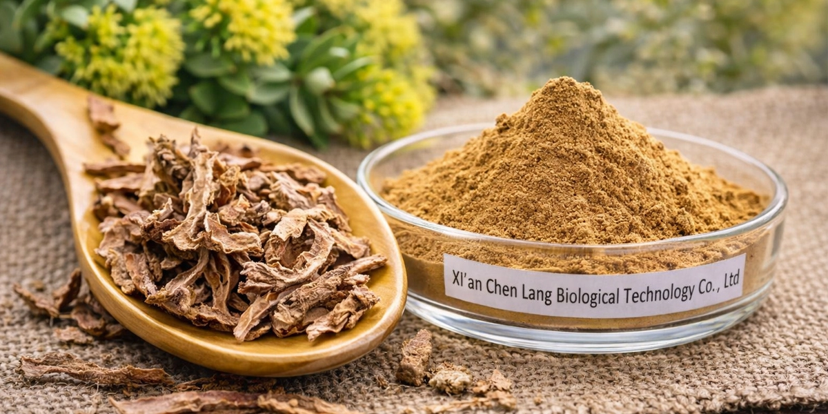 3%-Rosavins-vs-5%-Salidroside-powder 3%-Rosavins-vs-5%-Salidroside-powder