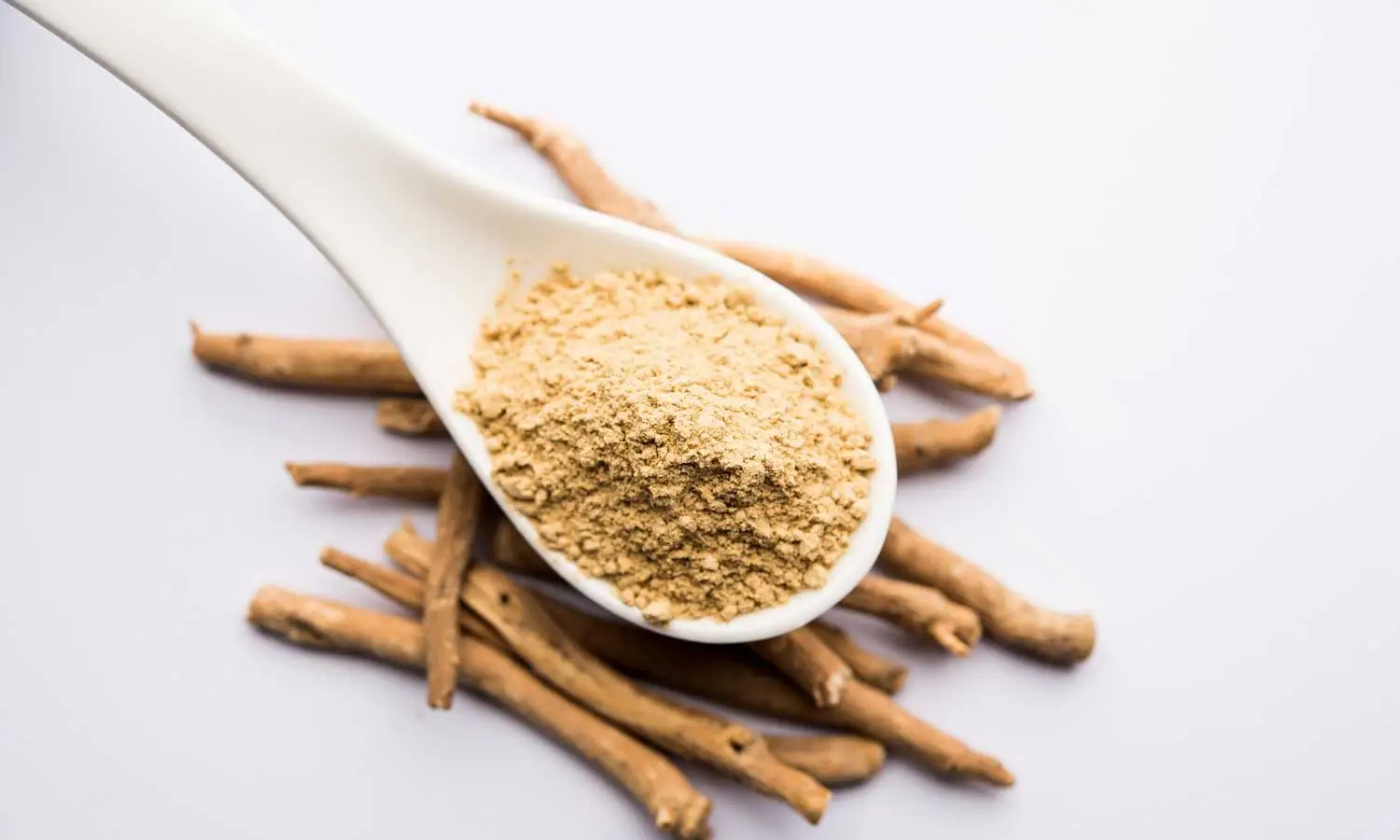 Ashwagandha-Extract-powder-10 Ashwagandha-Extract-powder-10